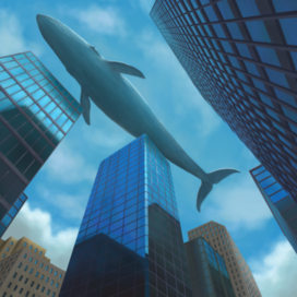 Синий кит над городом