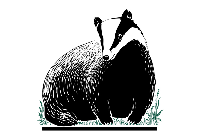 Иллюстрация Барсук в стиле графика, скетчи | Illustrators.ru