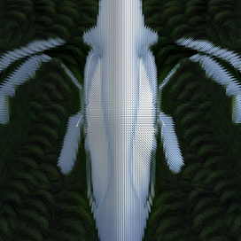 Fluffy blue and white bamboo trunk with bunches of thin branches on a wavy dark green background