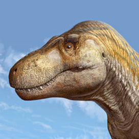 Тираннозавр (Tyrannsaurus mcraensis) 