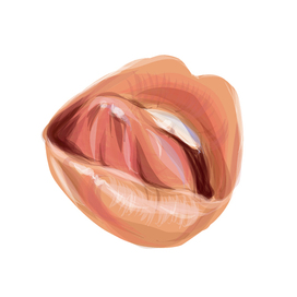 Векторные губы