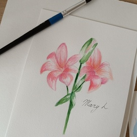 Иллюстрация цветы акварель