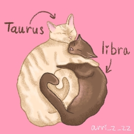 Cats by zodiac sign