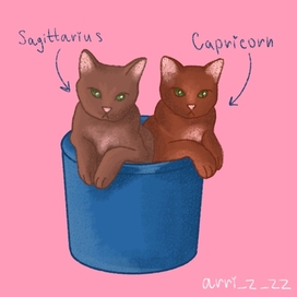 Cats by zodiac sign