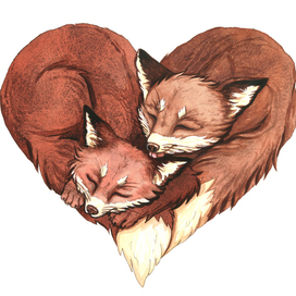 Лисички иллюстрация к дню влюбленных Лисы Лиса Сердце