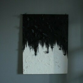 Черные бабочки