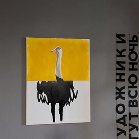 Солнечный страус