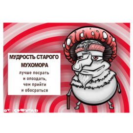 открытка с философской фразой от старого мухомора