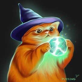 Wizard cat 