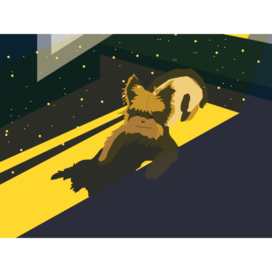 Пёсик на солнышке