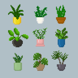 Plants