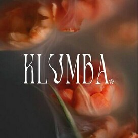 Разработка логотипа 