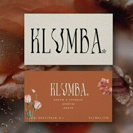 Разработка визитки 