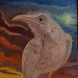 Белый ворон