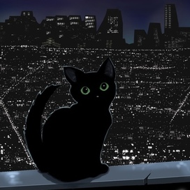 Котик в Бангкоке