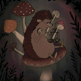 Книжная иллюстрация 