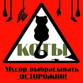 плакат "Спасем котиков"