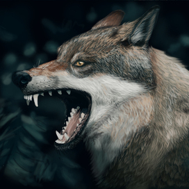 рисунок по фото