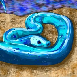 морская змея