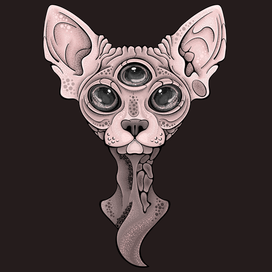 Sphynx cat