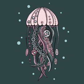 Jellyfish