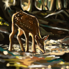 deer