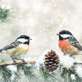 Синица и снегирь