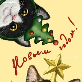 Новогодние котики