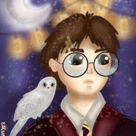 Гарри Поттер 