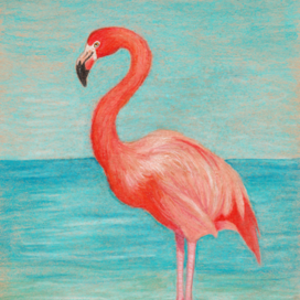 Фламинго