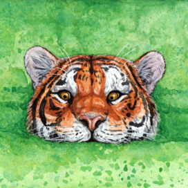 Тигр в тине