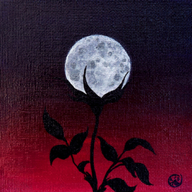Лунный цветок