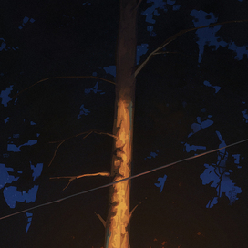 Дерево в лесу