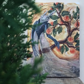 зимние мандарины