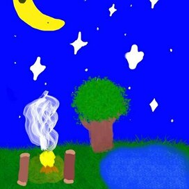 Звёздная ночь