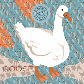 Goose