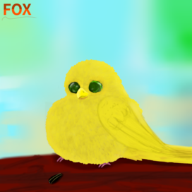 Птичка помешанная на семечках 