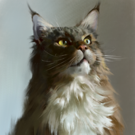 Кот по имени Бубочка