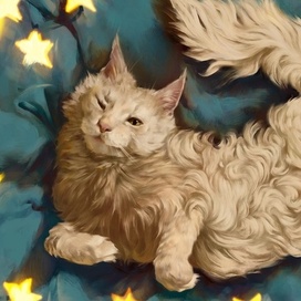 Кот по имени Чикчик