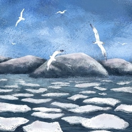 Лед и чайки