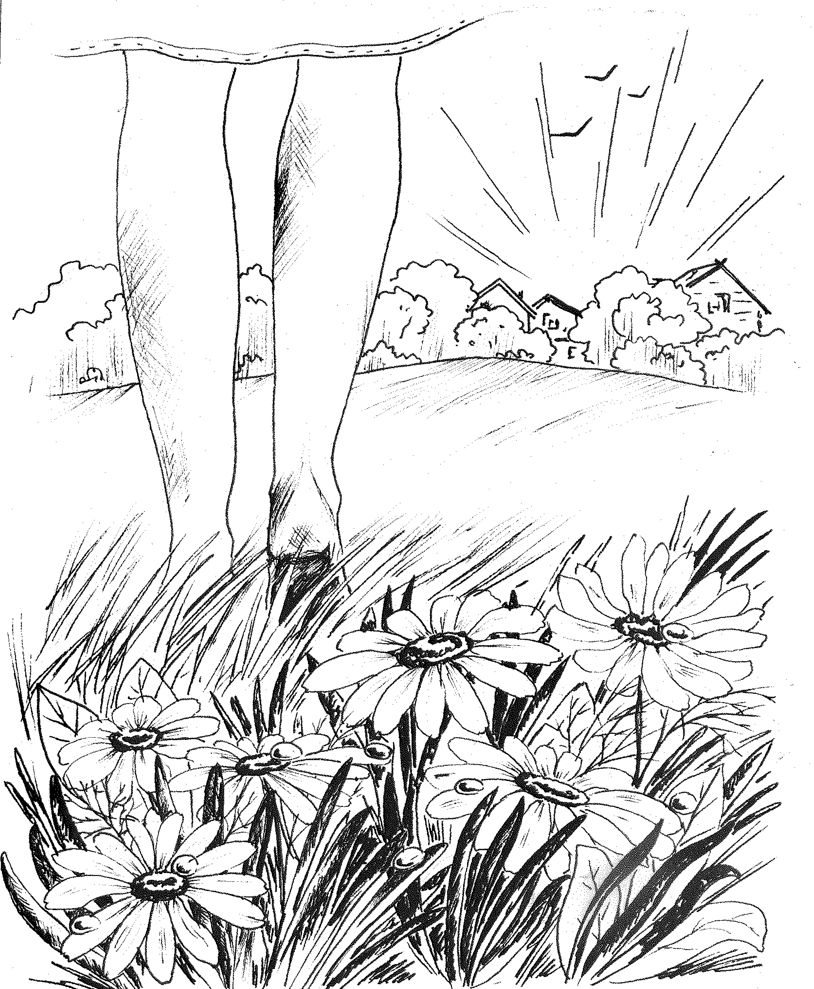 "Ромашковое лето"