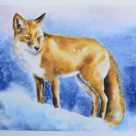 Зима в лесу