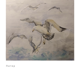 Чайки над Невой