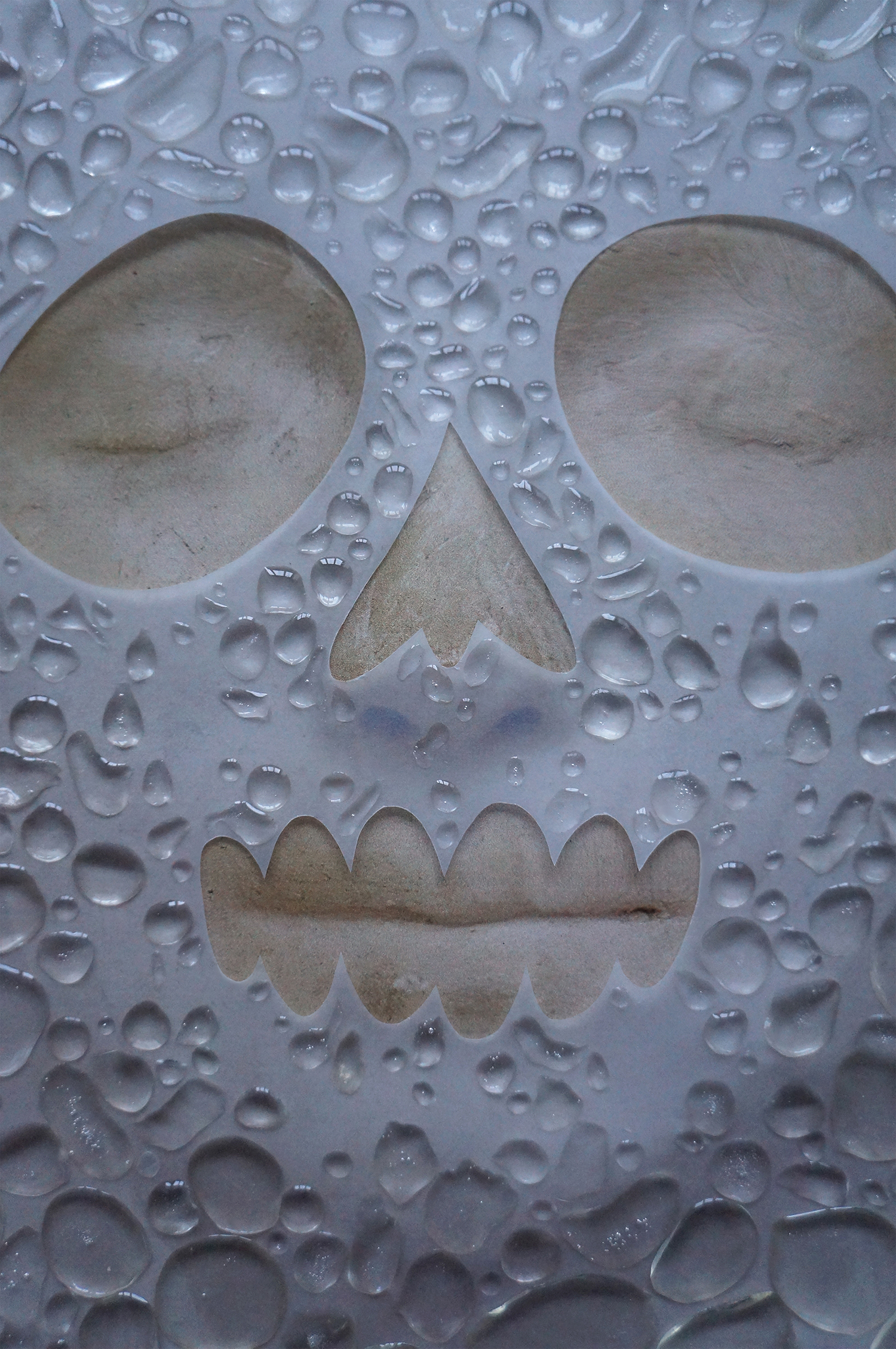 Незнакомка из Сены