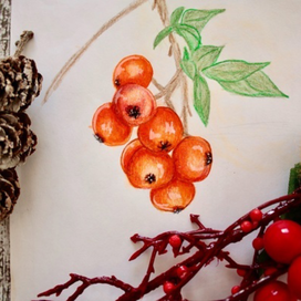 Гроздь рябины