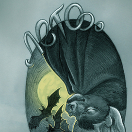 Летучая мышь Лето