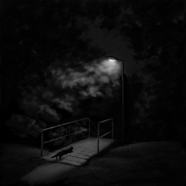 Ночь. Улица. Фонарь. Котейка