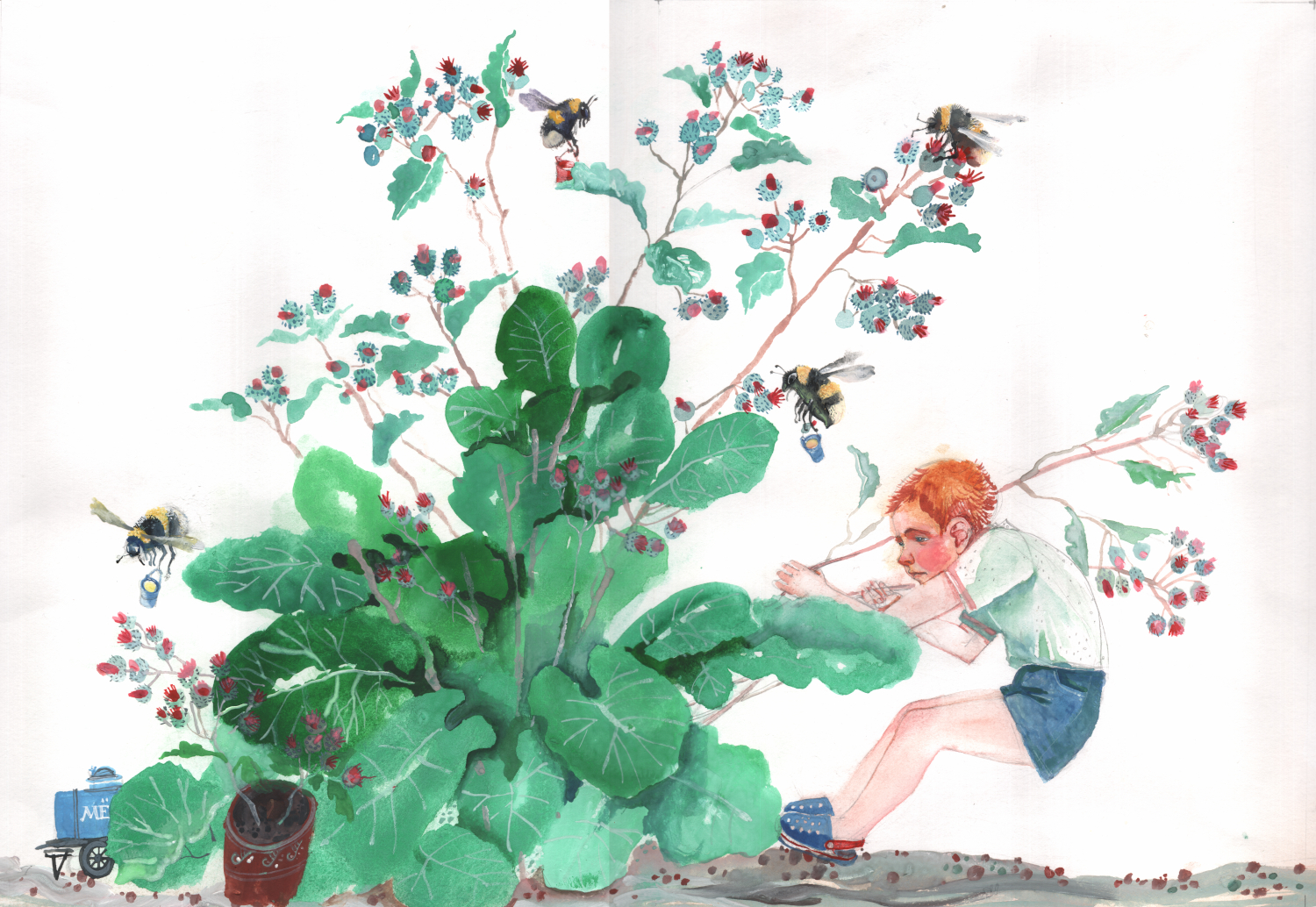 "Лопух" иллюстрация к книге Н.Евдокимовой "Такое короткое лето"