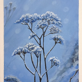 Зимние цветы