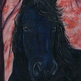 Черный конь